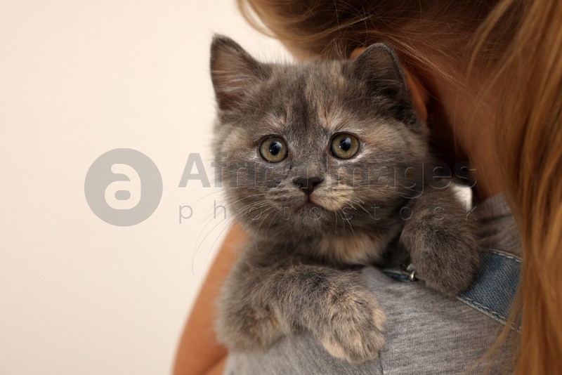 Cute little girl holding kitten on light background, closeup with space for text. Childhood pet