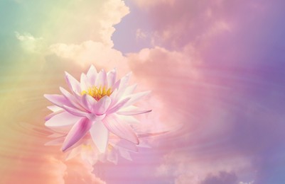 Floating beautiful lotus and reflection of sky with fluffy clouds on water, toned in pastel rainbow colors. Symbolic flower in Buddhism