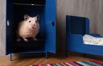 Photo of Adorable hamster inside tiny wardrobe in room with toy furniture