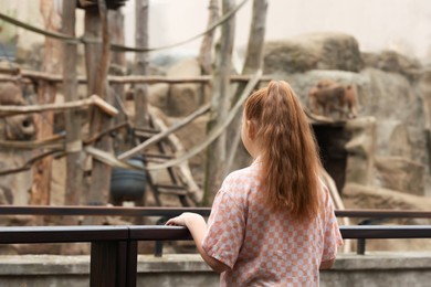 Little girl watching wild monkeys in zoo, back view