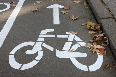 Bicycle lane with sign and arrow pointing direction on asphalt, closeup