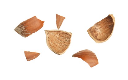 Pieces of hazelnut shell on white background