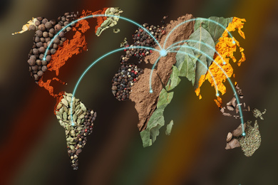 Double exposure of world map and different spices on blurred background. Logistic and wholesale concept