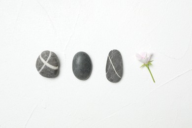 Photo of Spa stones and fresia flower on white table, flat lay