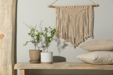 Stylish room interior with young potted pomegranate trees and macrame