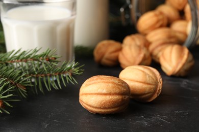 Photo of Homemade walnut shaped cookies, milk and fir branches on black table, closeup. Space for text