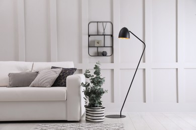 Living room with stylish sofa, beautiful eucalyptus and decorative elements. Interior design