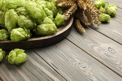 Photo of Tray with fresh green hops and wheat ears on wooden table, space for text