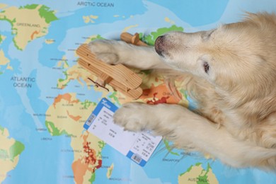 Golden retriever lying near toy airplane and ticket on world map, above view. Travelling with pet