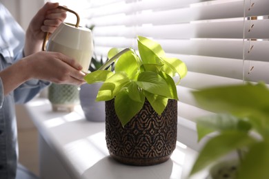 Woman watering beautiful potted plant on window sill, closeup. Floral house decor
