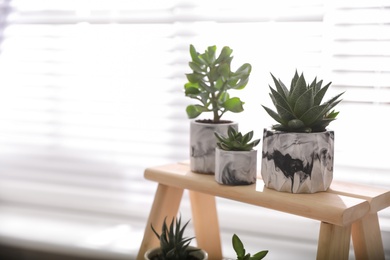 Beautiful potted succulents on wooden stand indoors. Space for text
