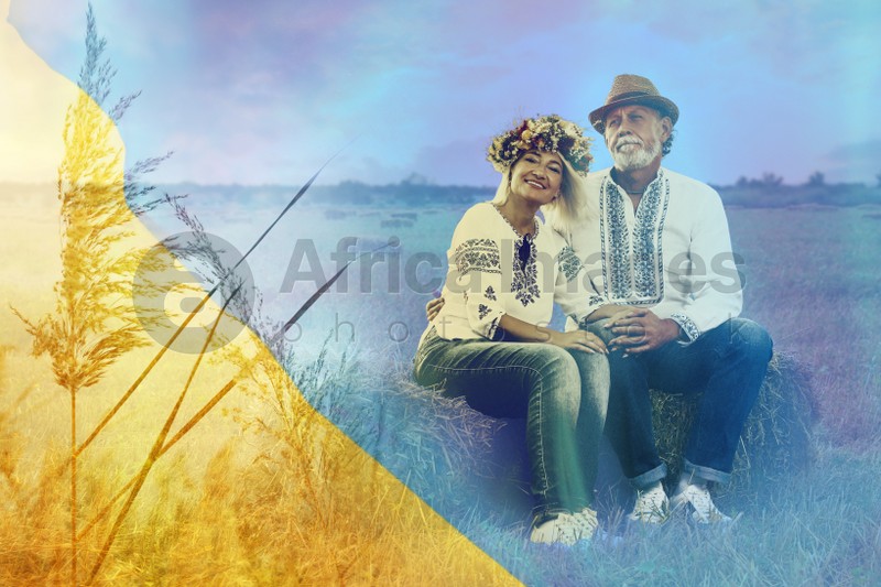 Double exposure of happy mature couple wearing national clothes in field and Ukrainian flag