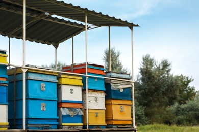 Many colorful beehives under roof at apiary