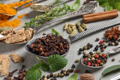 Different herbs and spices with spoons on grey table, closeup