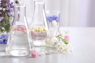 Laboratory glassware with different flowers on light table, space for text. Essential oil extraction