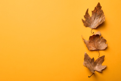 Dry autumn leaves on yellow background, flat lay. Space for text