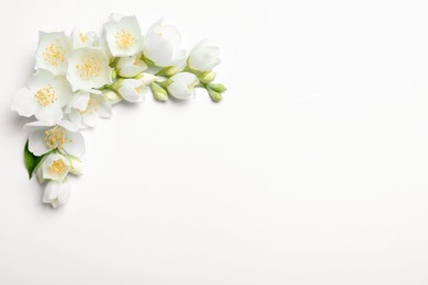 Photo of Beautiful jasmine flowers on white background, flat lay. Space for text