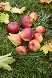 Delicious ripe red apples and maple leaves on green grass outdoors. Autumn harvest