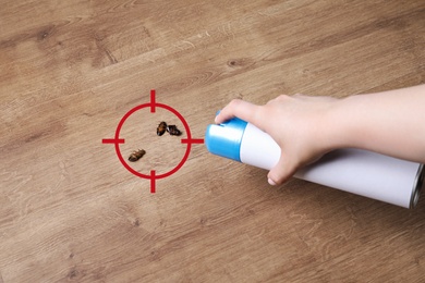 Woman spraying insecticide onto cockroaches, closeup. Pest control