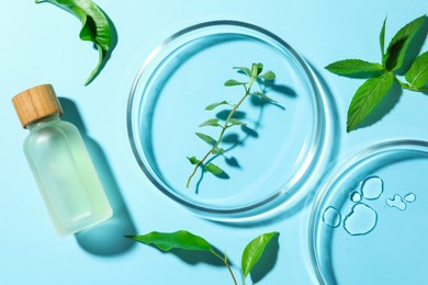 Photo of Flat lay composition with Petri dishes and plants on light blue background