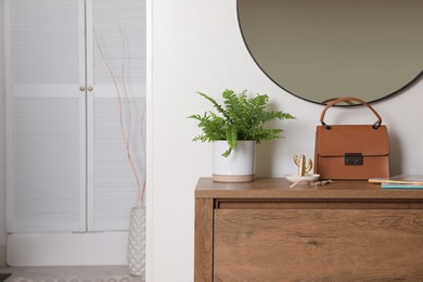 Beautiful potted fern and accessories on wooden cabinet in hallway. Space for text