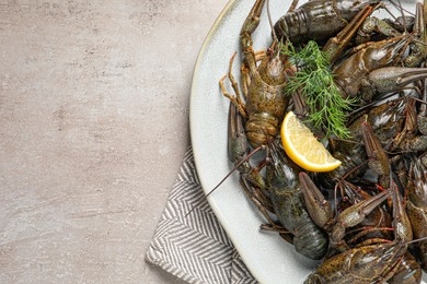 Fresh raw crayfishes with lemon and dill on light grey table, top view. Space for text