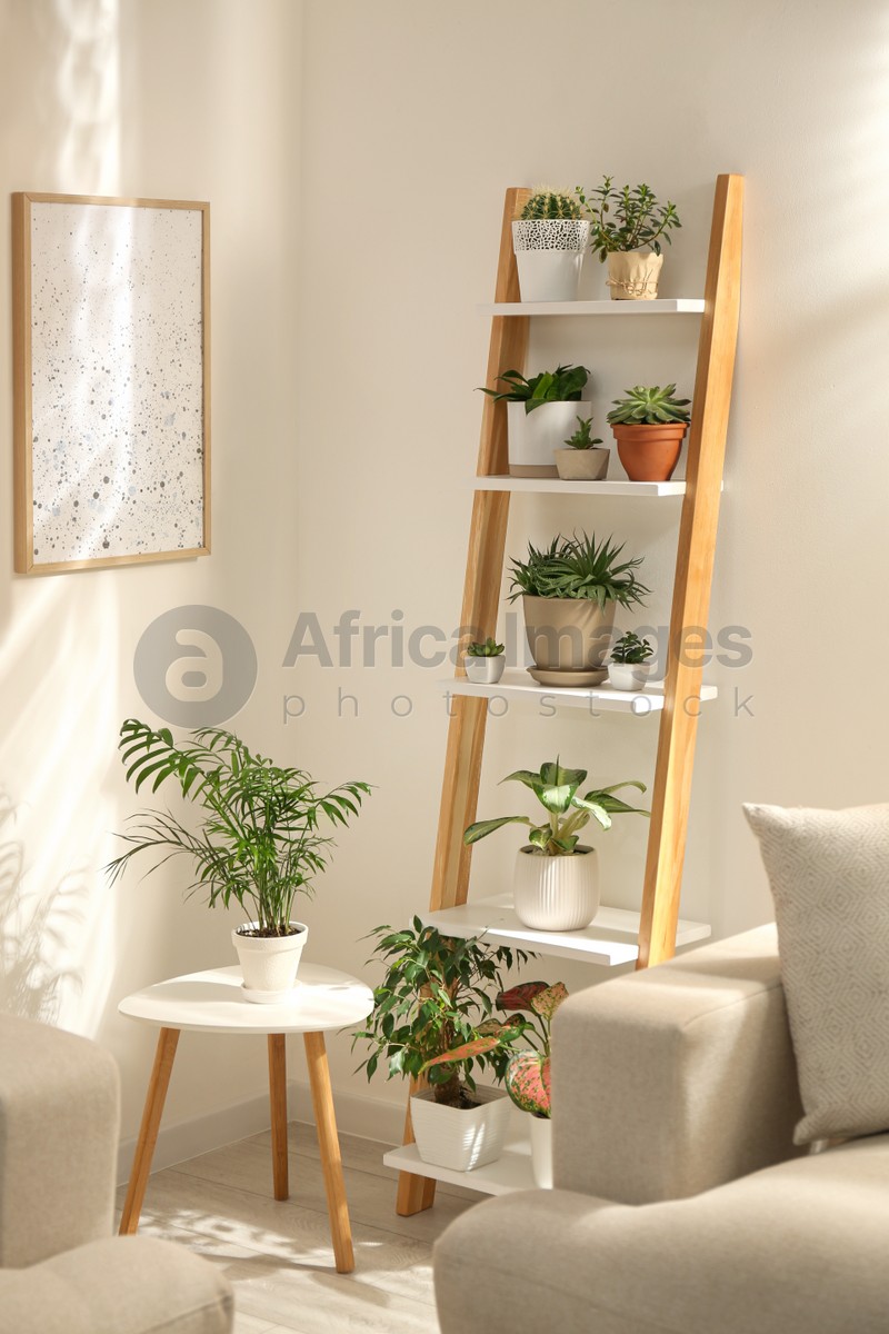 Photo of Decorative wooden ladder in stylish living room interior