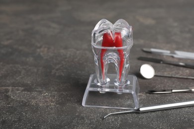 Tooth model and dental tools on grey table, space for text