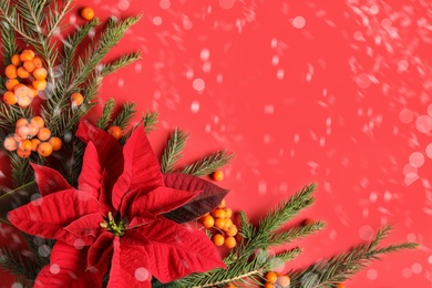Flat lay composition with traditional Christmas poinsettia flower and space for text on red background. Snowfall effect