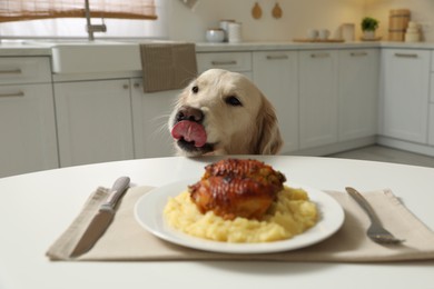 Photo of Cute hungry dog near plate with owner's food at table in kitchen