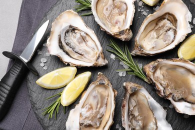 Delicious fresh oysters with lemon slices served on grey table, flat lay