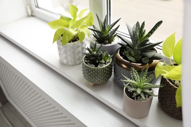 Photo of Beautiful potted houseplants on window sill indoors