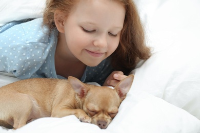 Little girl with her Chihuahua dog in bed. Childhood pet
