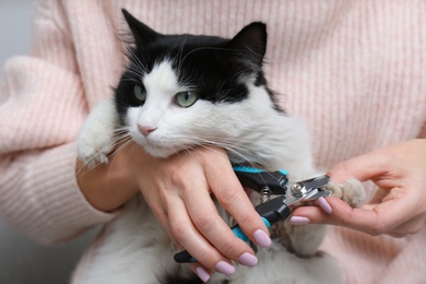 Woman cutting claws of cute cat with clipper, closeup