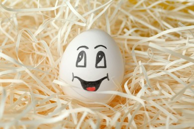 Photo of Egg with drawn happy face in straw, closeup