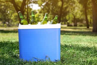 Blue plastic cool box with bottles of beer in park
