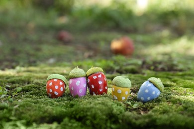 Colorful painted acorns with polka dot pattern on green moss outdoors