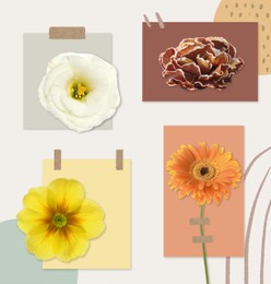 Multicolor flowers and cards of similar shades on light background, collage. Montessori method
