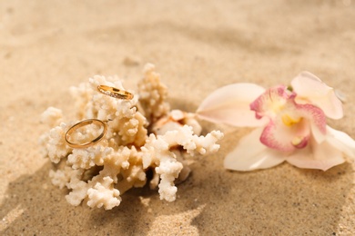 Beautiful flower and coral with gold wedding rings on sandy beach, closeup