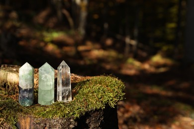 Photo of Beautiful quartz crystals on green moss in forest. Space for text