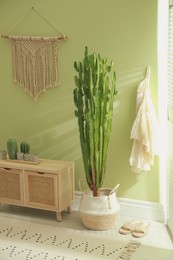 Hallway interior with cactus in pot and wooden furniture