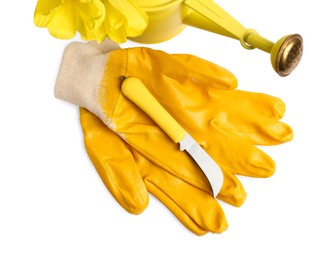 Pair of gloves, gardening tools and blooming plant on white background, top view