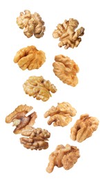 Halves of walnuts falling on white background 
