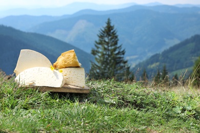 Wooden board with different kinds of delicious cheese on grass in mountains. Space for text