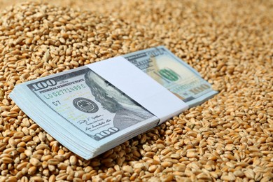 Wheat grains with dollar banknotes, closeup. Global food crisis concept
