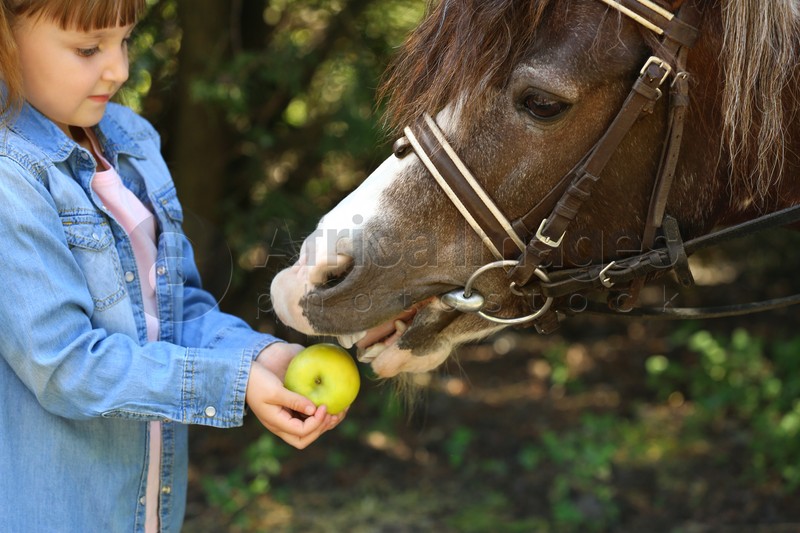 Cute little girl feeding her pony in green park, closeup