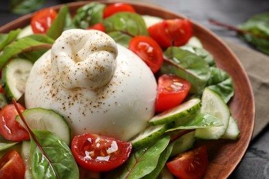 Delicious burrata salad with tomatoes and cucumbers on plate, closeup