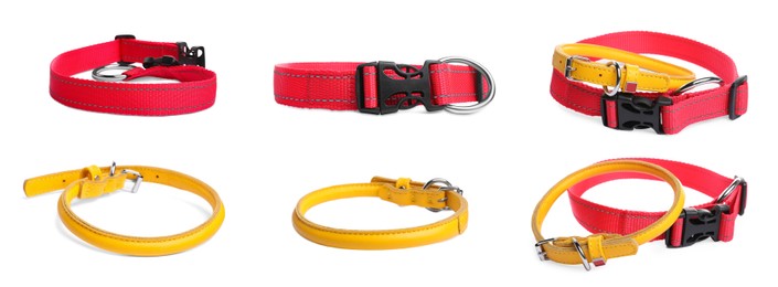 Set with yellow and red leather dog collars on white background. Banner design