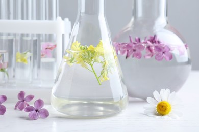 Laboratory glassware with flowers on white wooden table, closeup. Extracting essential oil for perfumery and cosmetics