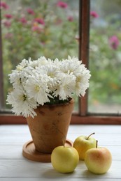 Beautiful chrysanthemum flowers in pot and ripe apples on white wooden table near window indoors. Autumn still life